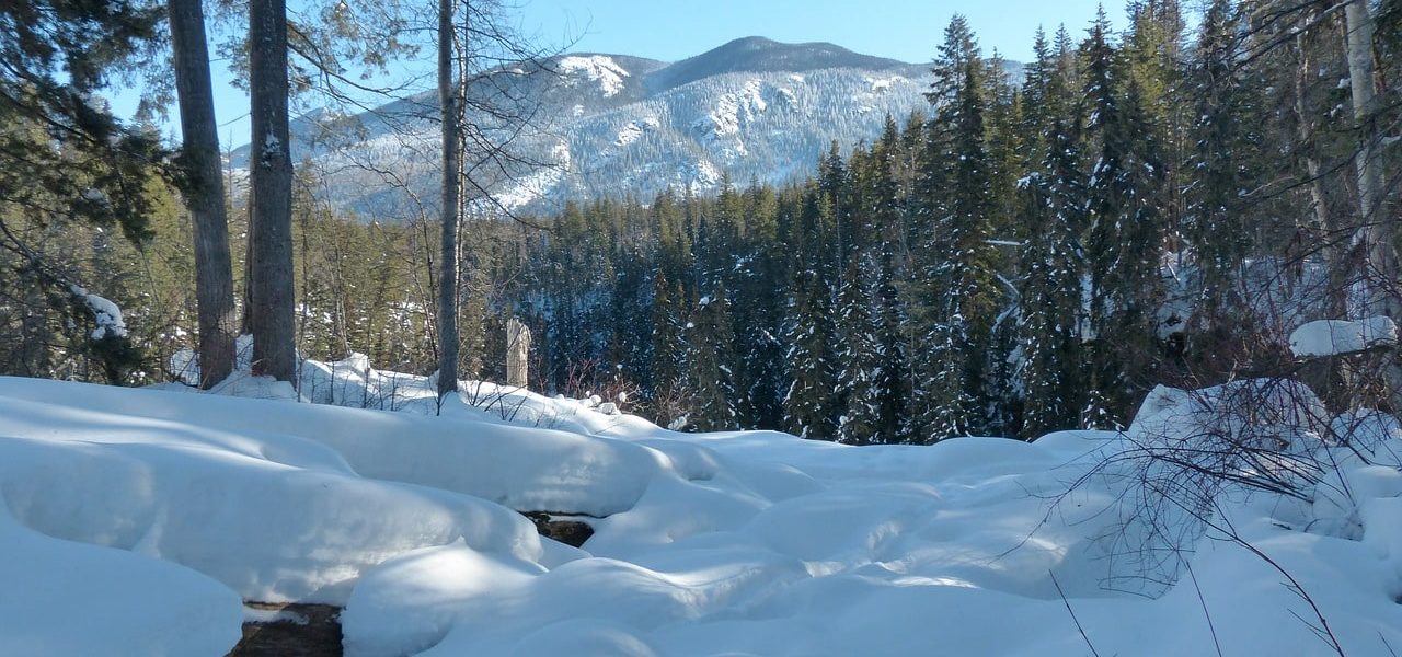 winter canada