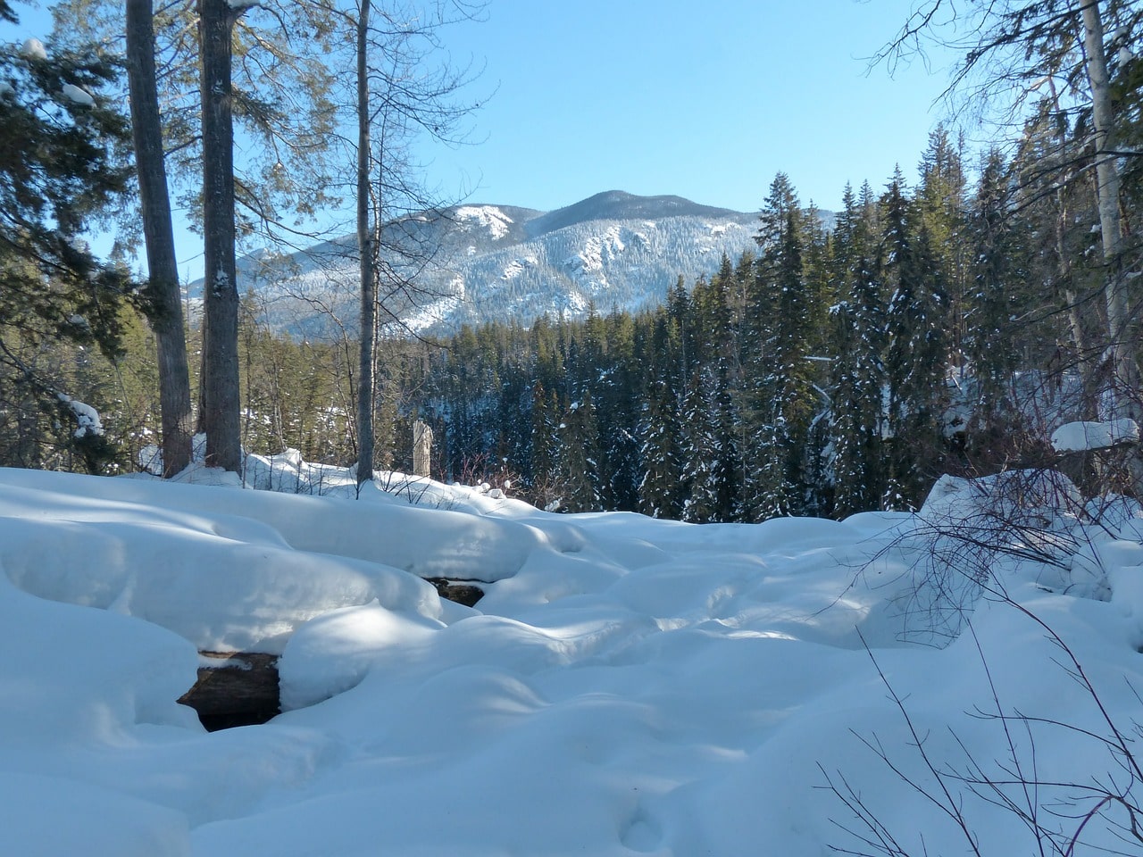 Winter in Canada