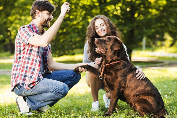 vakantie met hond