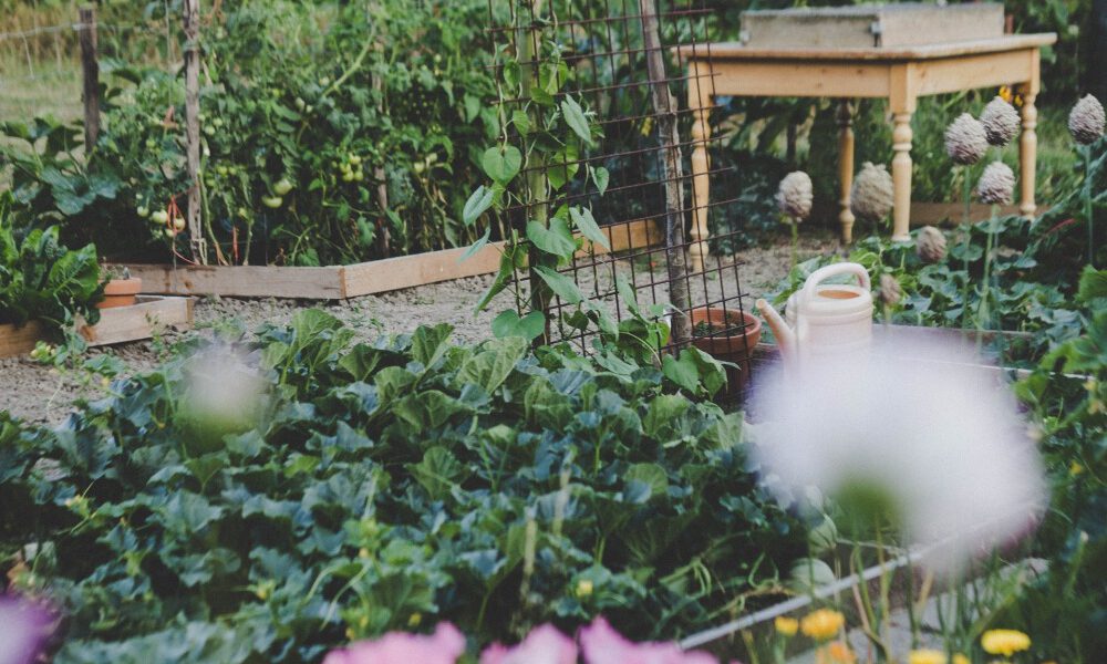 Creëer een ongerepte tuin met een permacultuur