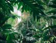 verticaal tuinieren