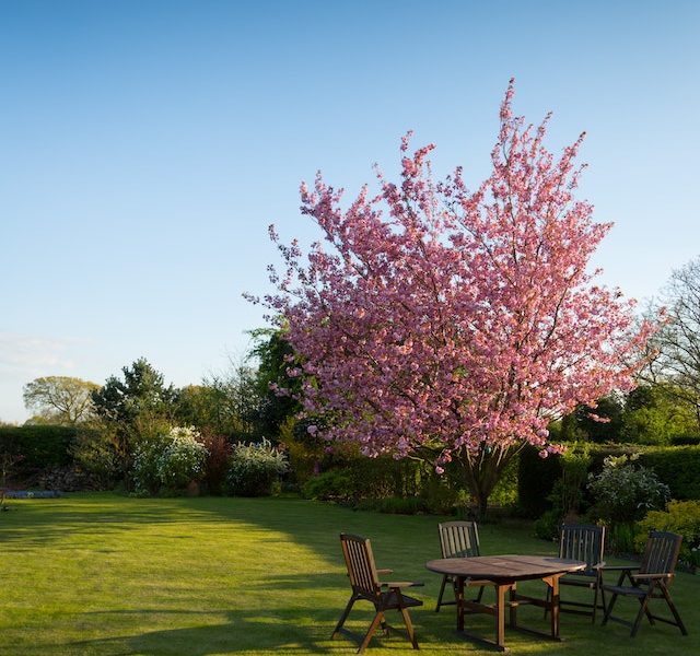 Tuinonderhoud in het voorjaar