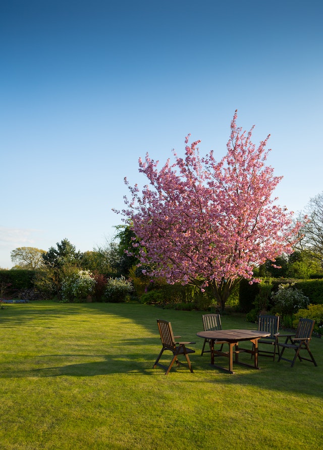 Tuinonderhoud in het voorjaar