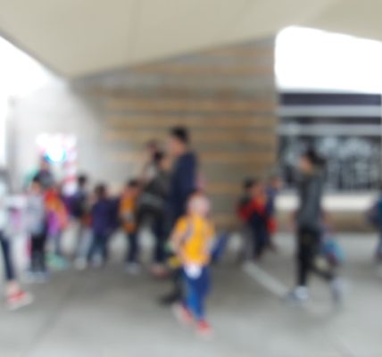 Ontdek de voordelen van groene schoolpleinen