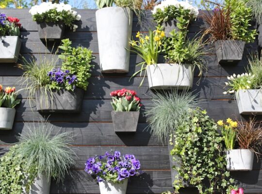 Wanneer kies je voor tuinrenovatie en wanneer voor een nieuwe tuin?