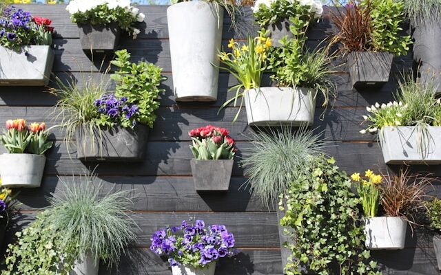 Wanneer kies je voor tuinrenovatie en wanneer voor een nieuwe tuin?